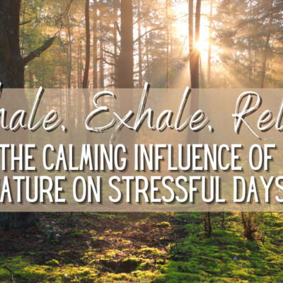 Inhale, Exhale, Relax: The Calming Influence of Nature on Stressful Days